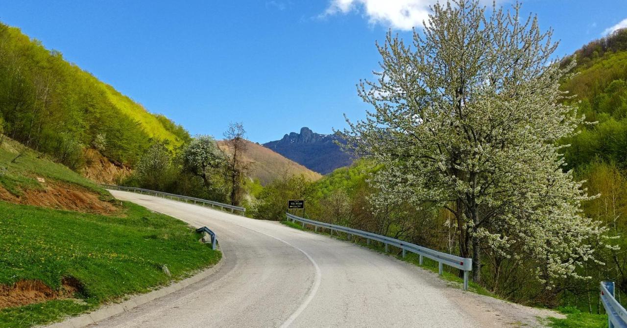 Vila Nada Crni Vrh Εξωτερικό φωτογραφία